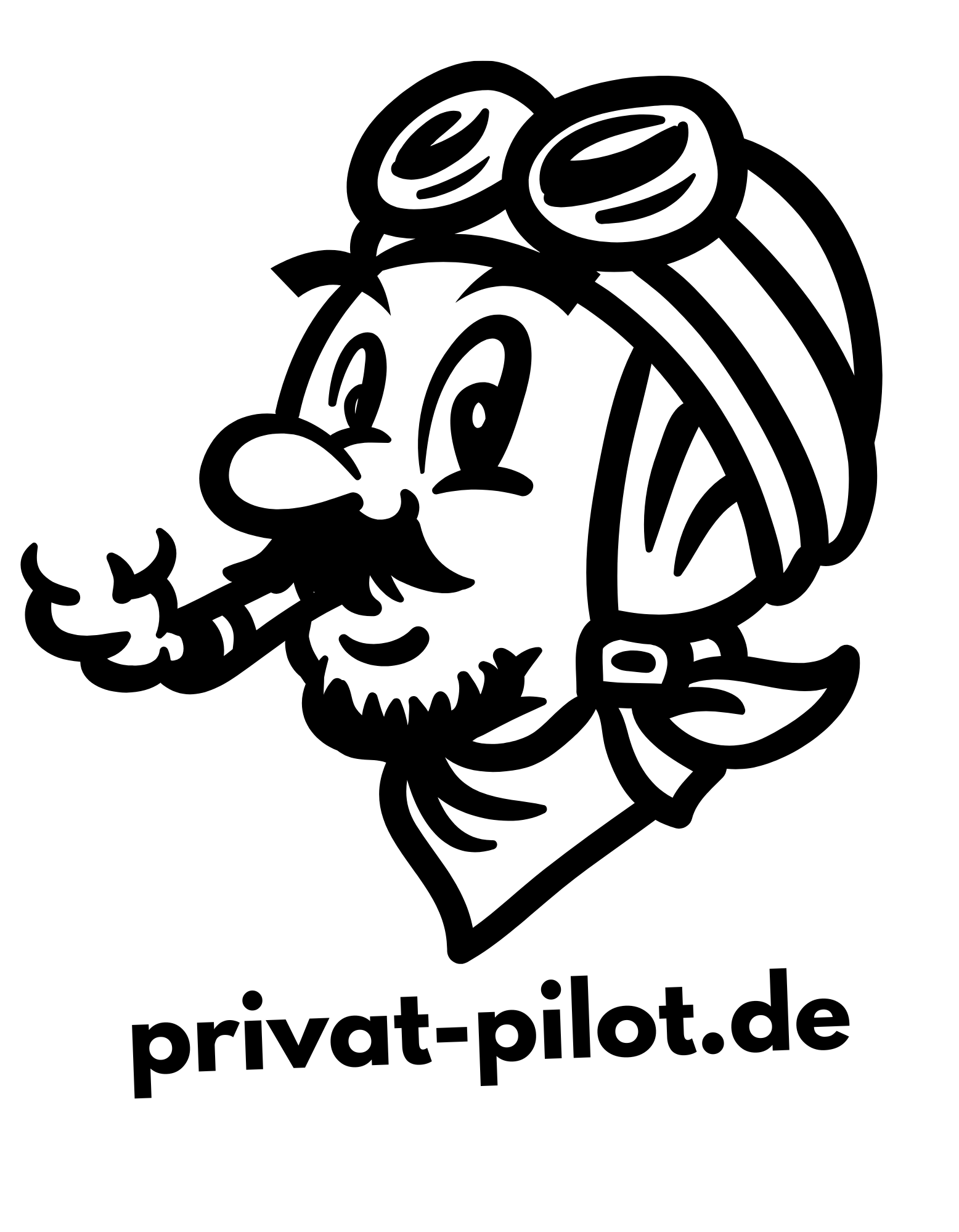 privat-pilot.de